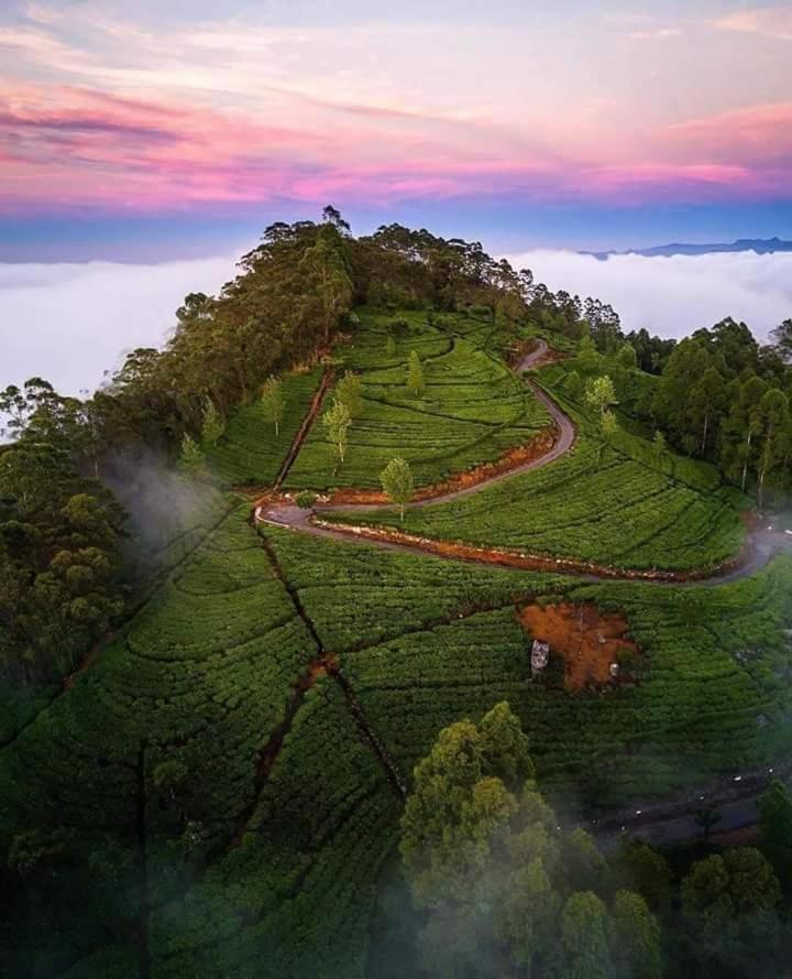 Tea Breeze Motel Nallathanniya Buitenkant foto
